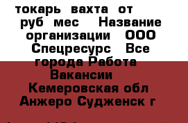 токарь. вахта. от 50 000 руб./мес. › Название организации ­ ООО Спецресурс - Все города Работа » Вакансии   . Кемеровская обл.,Анжеро-Судженск г.